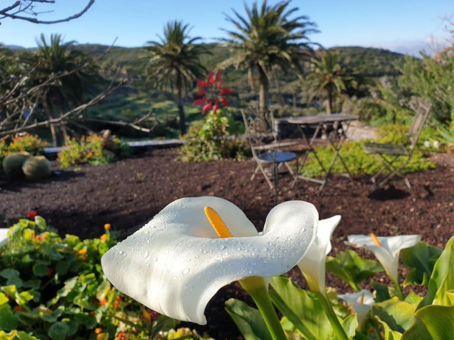 Casa Tara Ruhe Und Entspannung, Natur Pur Acardece Luaran gambar