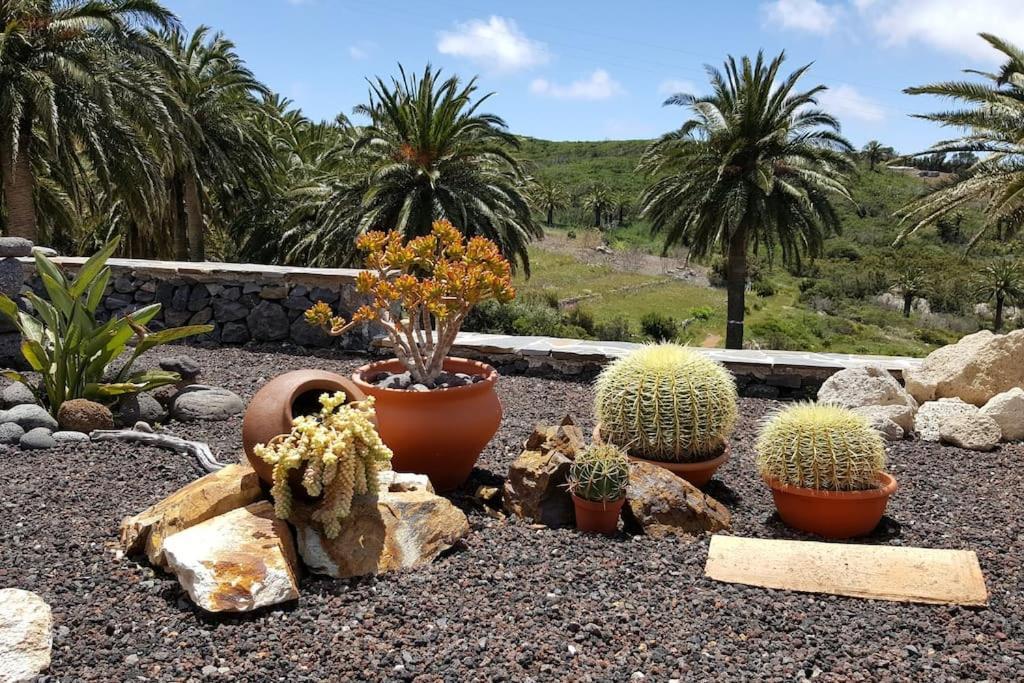 Casa Tara Ruhe Und Entspannung, Natur Pur Acardece Luaran gambar